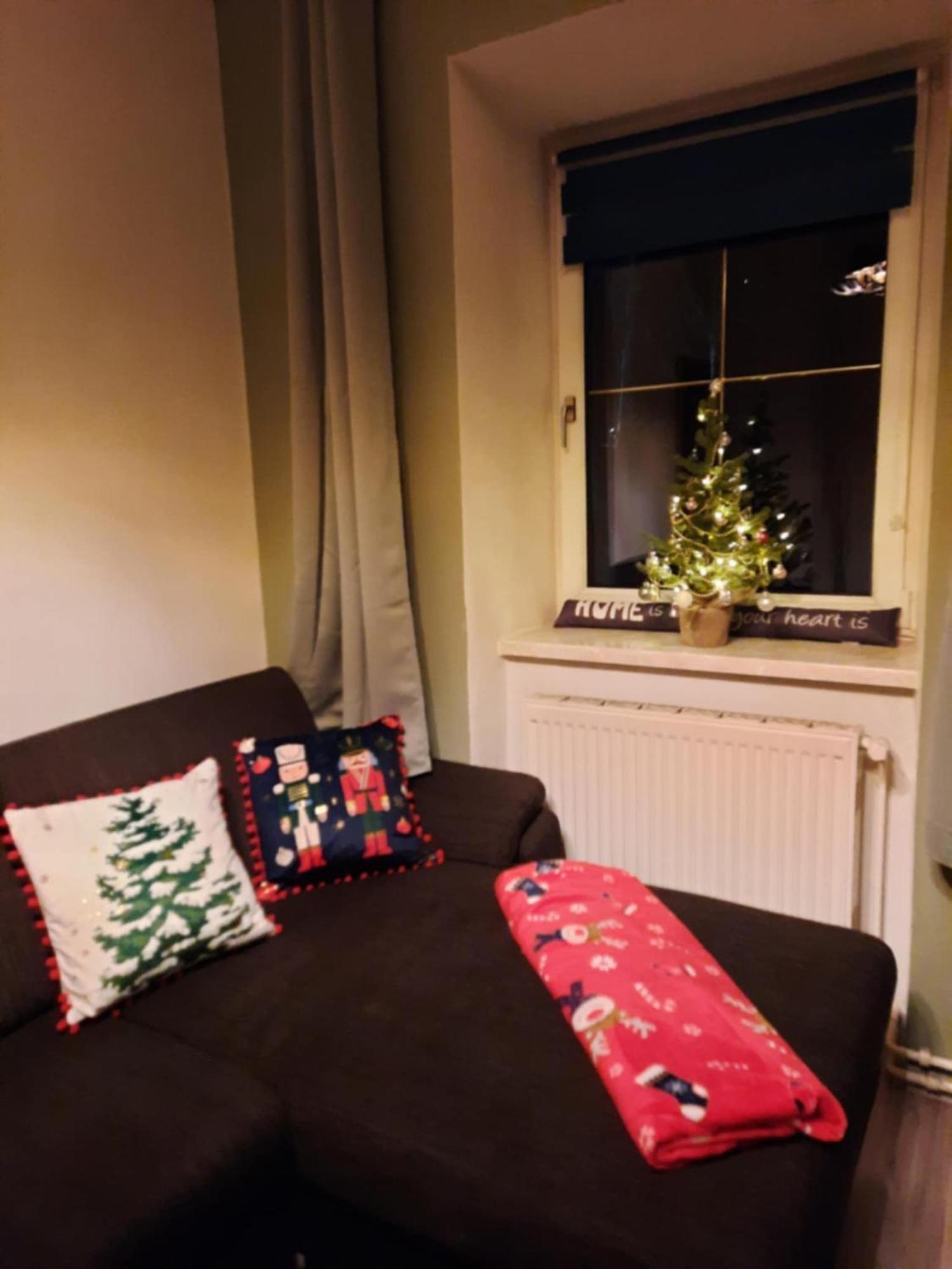 Ausseerland Apartments - Relax, Ski, Hike And Bike, Garden, Parking, Bbq, Near Hallstatt, Loser, Tauplitz And Krippenstein, Free Wi-Fi And Netflix Bad Aussee Rum bild