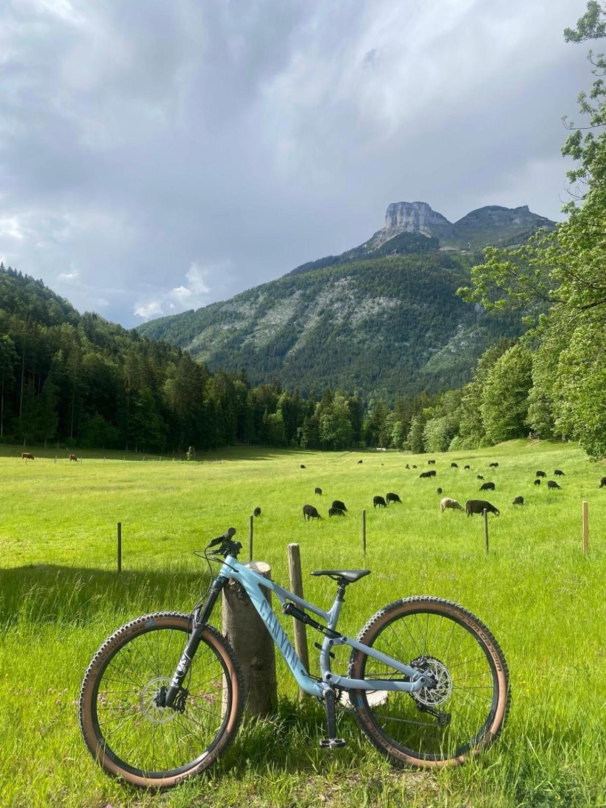 Ausseerland Apartments - Relax, Ski, Hike And Bike, Garden, Parking, Bbq, Near Hallstatt, Loser, Tauplitz And Krippenstein, Free Wi-Fi And Netflix Bad Aussee Exteriör bild