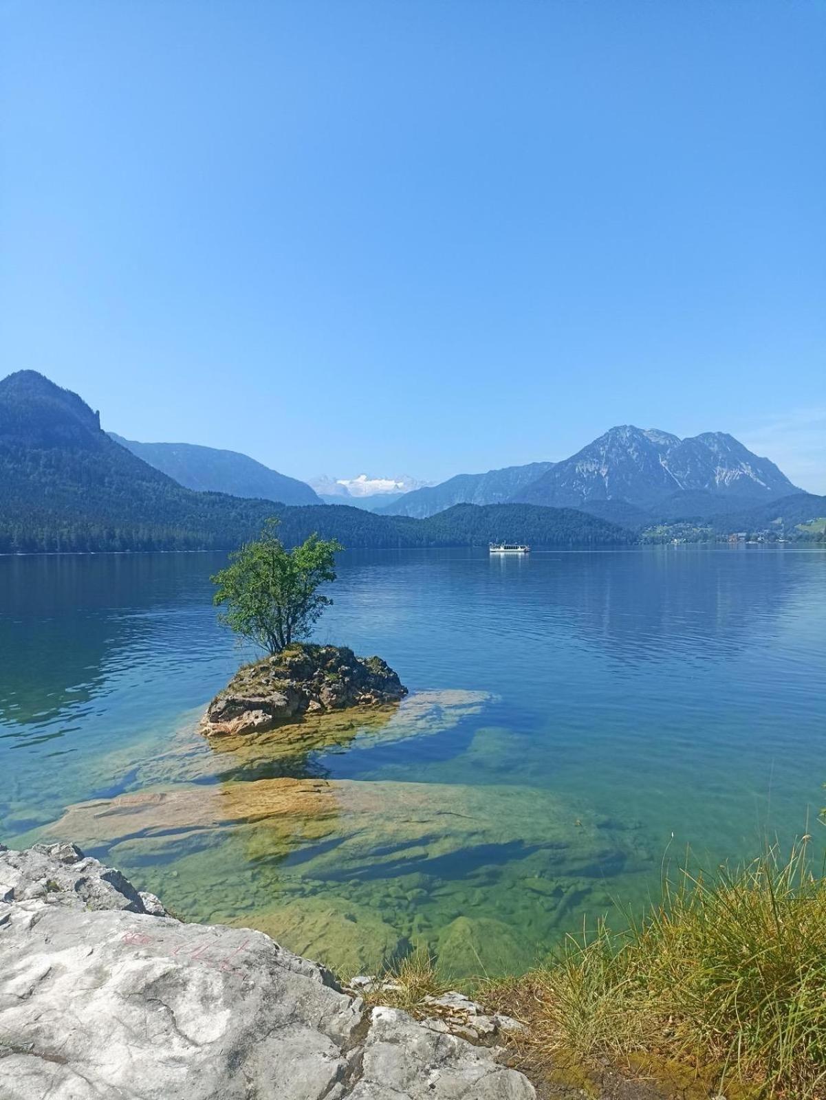 Ausseerland Apartments - Relax, Ski, Hike And Bike, Garden, Parking, Bbq, Near Hallstatt, Loser, Tauplitz And Krippenstein, Free Wi-Fi And Netflix Bad Aussee Exteriör bild