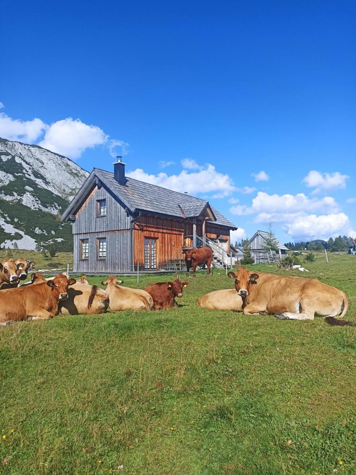 Ausseerland Apartments - Relax, Ski, Hike And Bike, Garden, Parking, Bbq, Near Hallstatt, Loser, Tauplitz And Krippenstein, Free Wi-Fi And Netflix Bad Aussee Exteriör bild