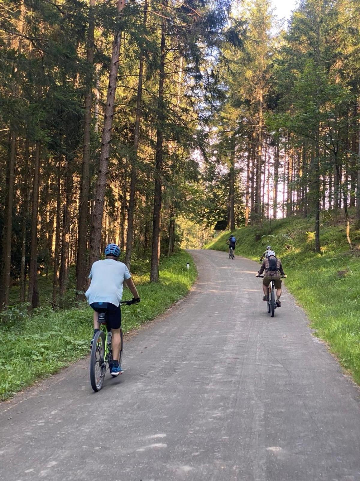Ausseerland Apartments - Relax, Ski, Hike And Bike, Garden, Parking, Bbq, Near Hallstatt, Loser, Tauplitz And Krippenstein, Free Wi-Fi And Netflix Bad Aussee Exteriör bild