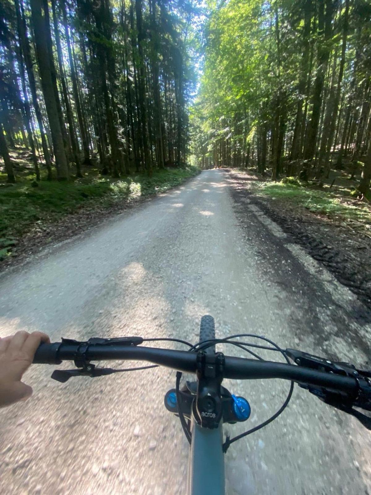 Ausseerland Apartments - Relax, Ski, Hike And Bike, Garden, Parking, Bbq, Near Hallstatt, Loser, Tauplitz And Krippenstein, Free Wi-Fi And Netflix Bad Aussee Exteriör bild
